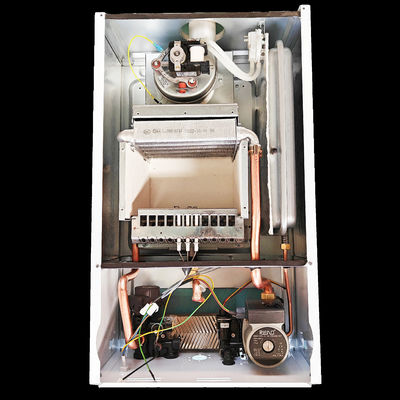 L1PB 32-(F1) Pemanas Stainless Steel Bathing Gas Boiler Wall Mounted 32Kw