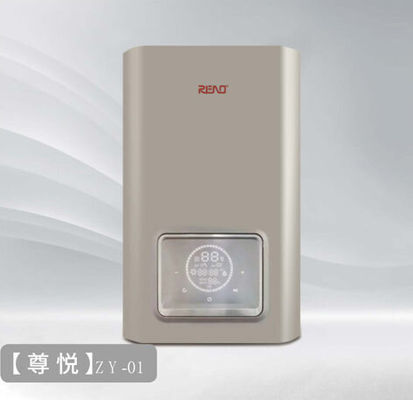 Intelligent Wall Mounted Condensing Gas Boiler Pengendalian Komputer Kombi Boiler